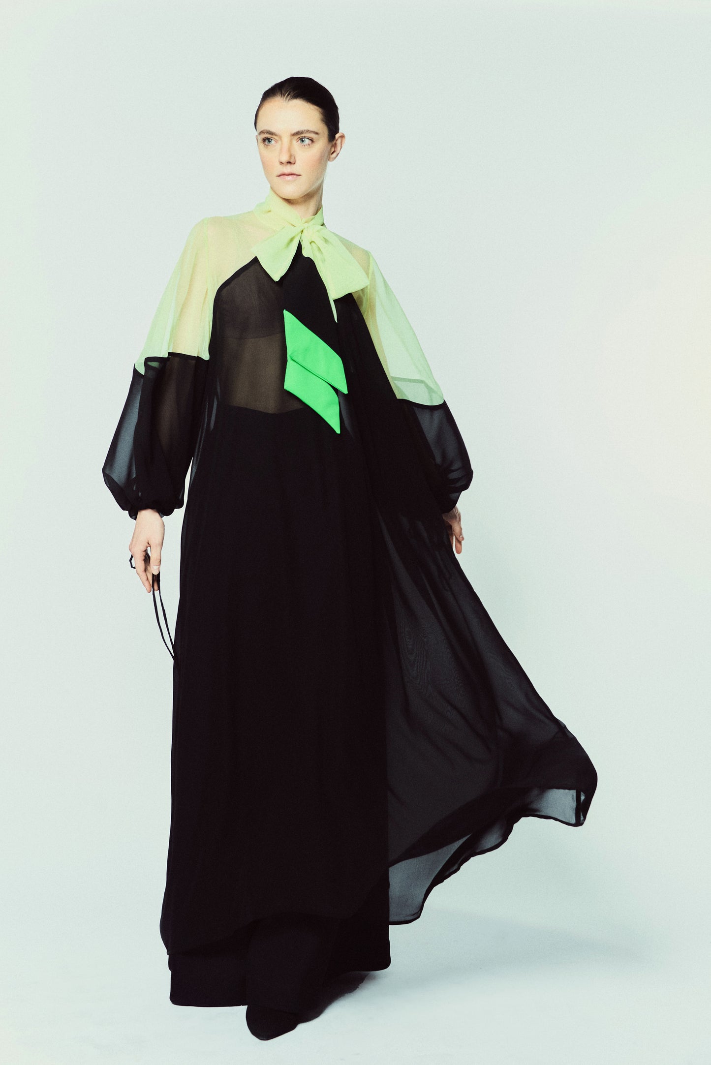 DRESS BEETLE | BLACK & GOLD